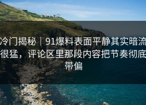 冷门揭秘｜91爆料表面平静其实暗流很猛，评论区里那段内容把节奏彻底带偏